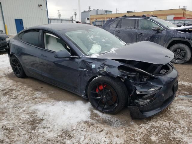 Tesla model 3 Perfomance