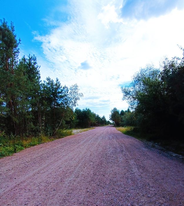 16,5 сот біля соснового лісу та водойми