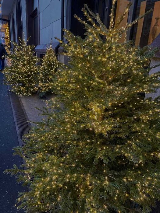 ТОП ПРОПОЗИЦІЯ! Гірлянда Хвойна лапа на пульті. Гирлянда мишура