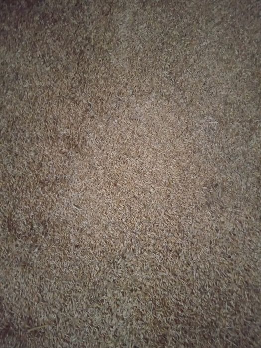 Sprzedam mieszankę zbożową