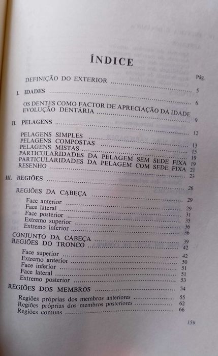 O Exterior do Cavalo - J. Miranda do Vale