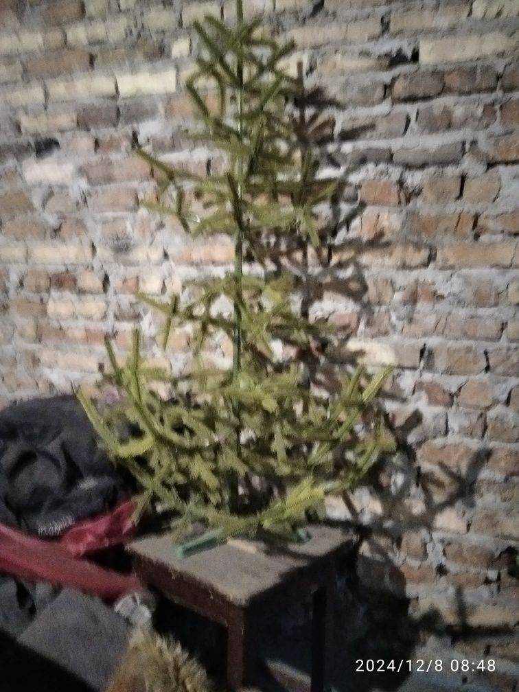 Продам Шт учні ялинки