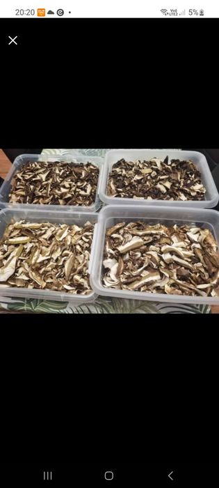 Grzyby suszone prawdziwek i podgrzybek