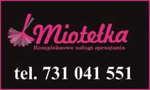 Mycie okien,sprzątanie,pranie tapicerki,dywanów,mycie kostki,elewacji