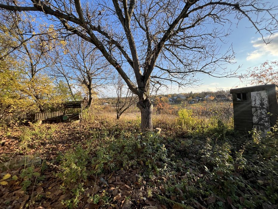 Земельні ділянки в Свидівку від 430$ за сотку! Центр, газ, світло