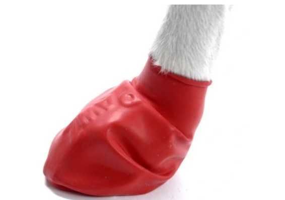 PAWZ - gumowe buty dla psa - zestaw 12 sztuk - rozmiar S