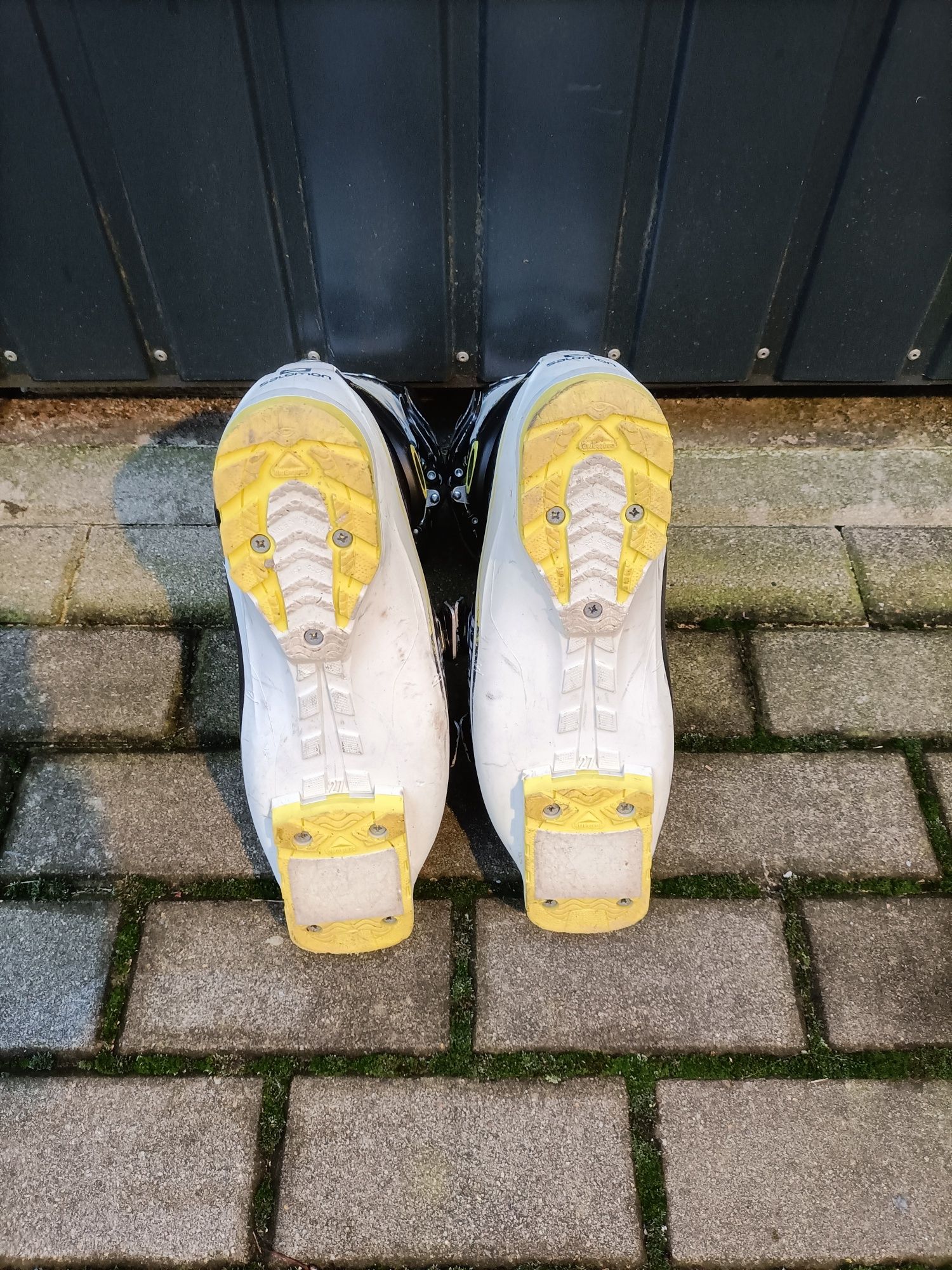 Buty narciarskie Salomon X Pro 110