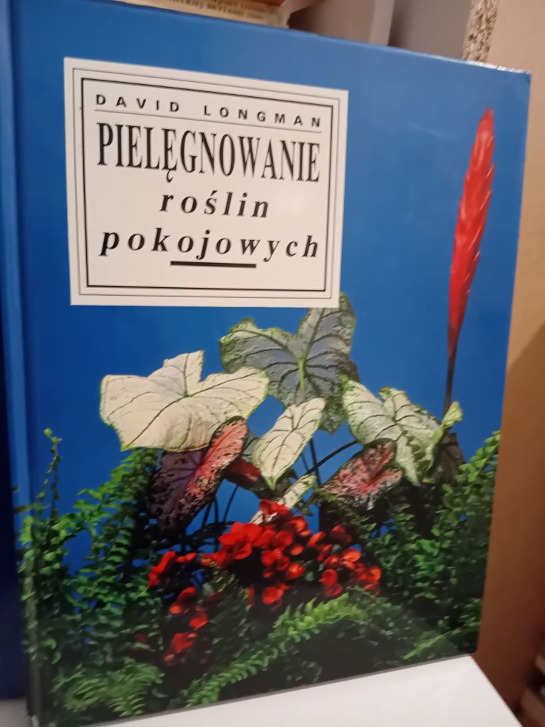 Pielęgnowanie roślin pokojowych