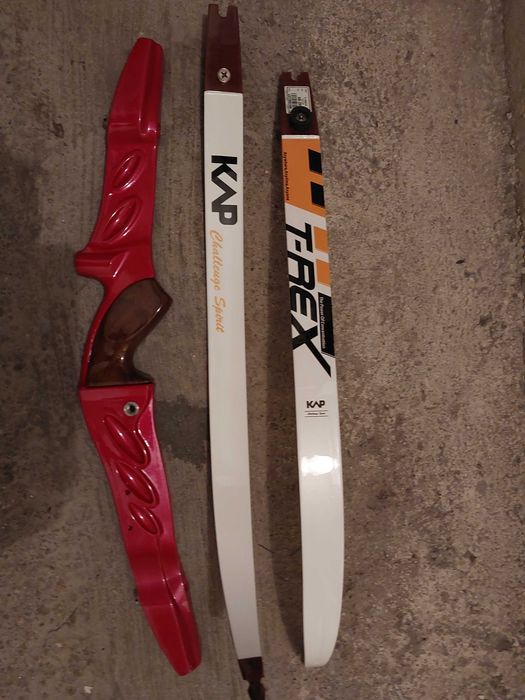 Łuk składany sportowy T-Rex