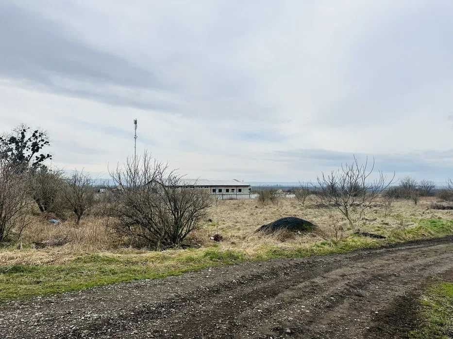 Земельна ділянка село Миколаїв 50 сотих