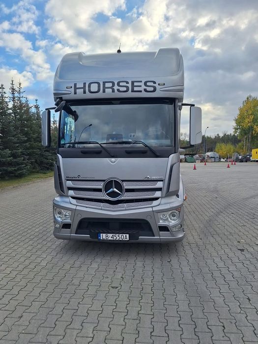 Mercedes-Benz ANTOS  horses truck, przewóz koni, koniowóz