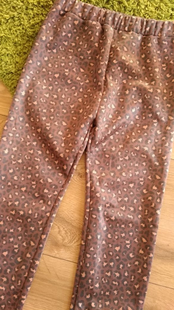 Legginsy getry damskie 36 S Cleve print panterka