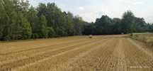 Działka rolno-leśna 1,4ha Rzymiec  k. Skierniewic