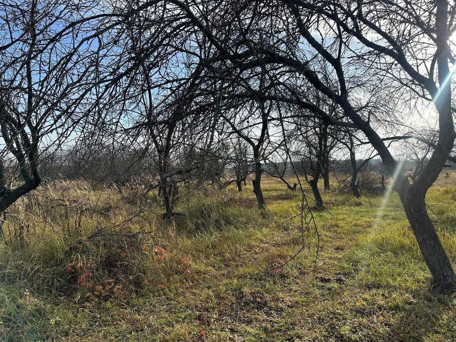 Продаж ділянки 10 соток під забудову. Біля лісу.Зручний під'їзд.ID:728