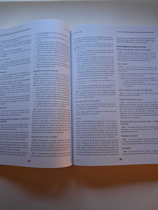 Sistema de Normalização Contabilístico Explicado - João Rodrigues