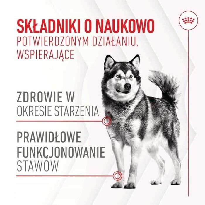 Royal Canin Supplements Dog Joint & Ageing 240g Przysmak Dla Psa