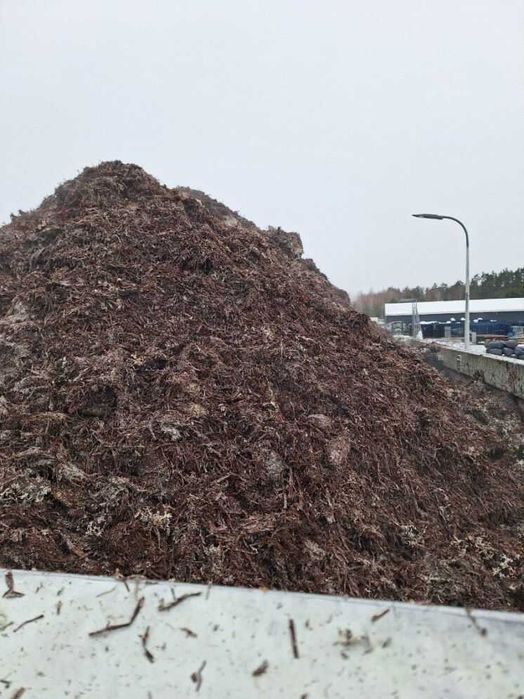 Podłoże popieczarkowe nawóz obornik