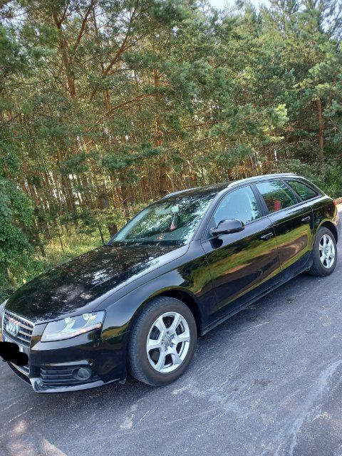 Audi A5 B8 kombi