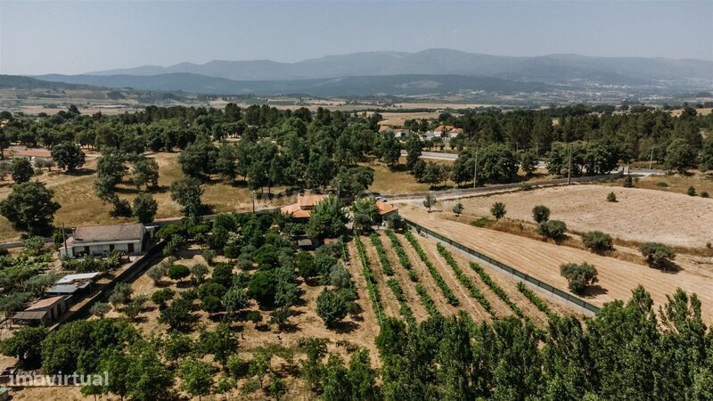 Quintinha T3 / Fundão, Aldeia Nova