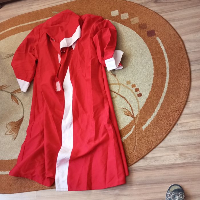 Płaszcz Świętego Mikołaja