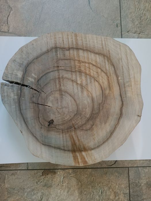 Plaster drewna orzecha