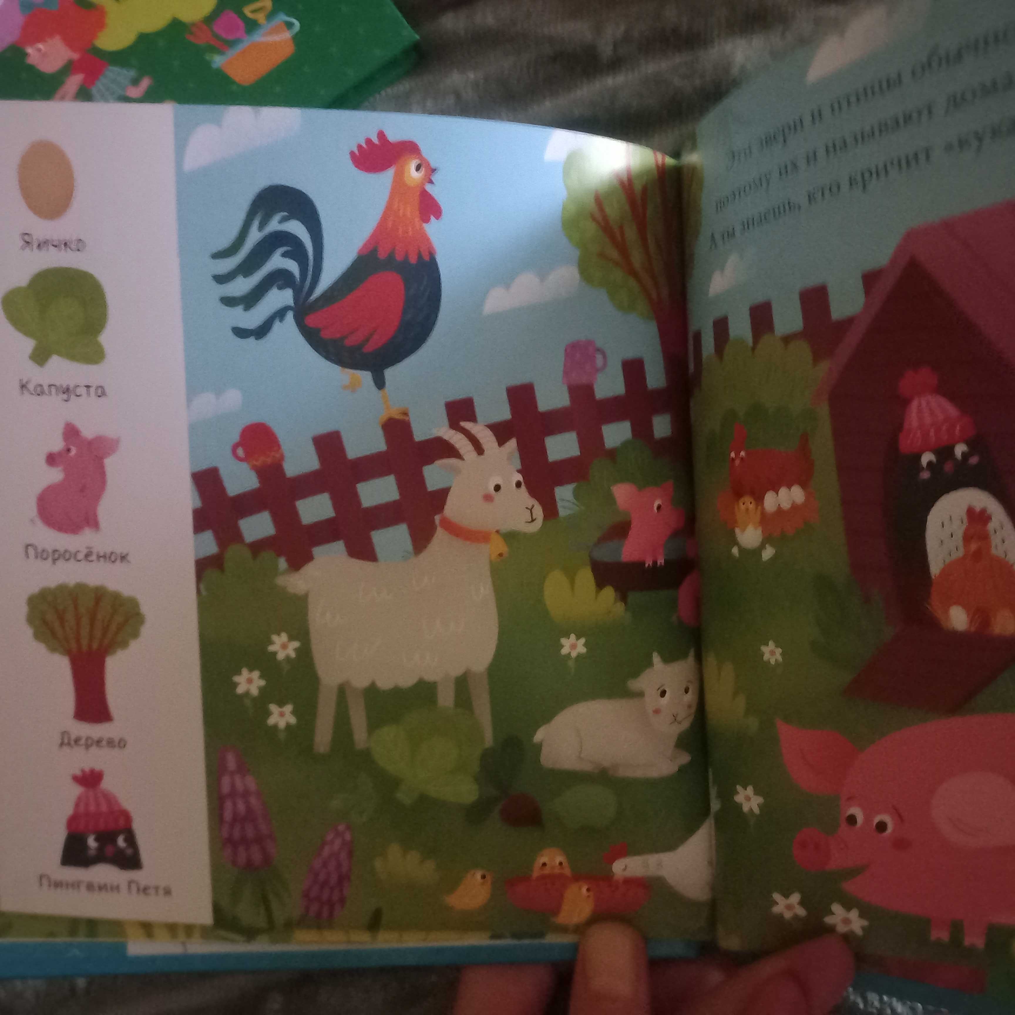 Серия новых детских книг Найди и покажи малыш 3 шт.