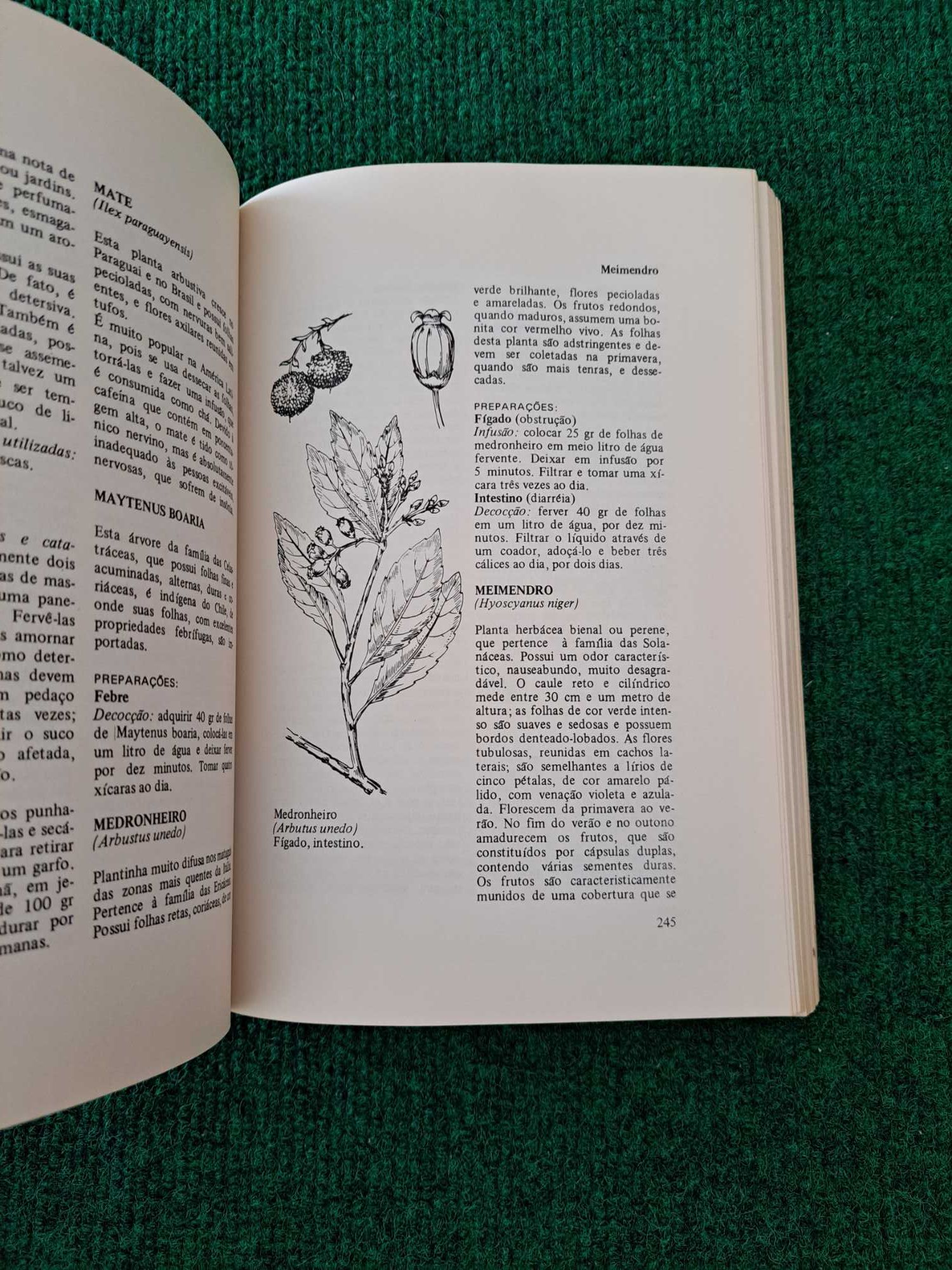 Plantas Medicinais - François Balmé