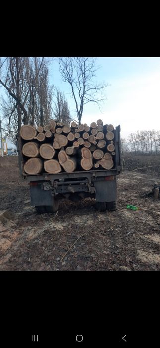 Продам дрова різних порід