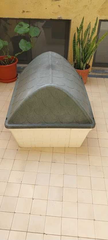 casota para cão no exterior