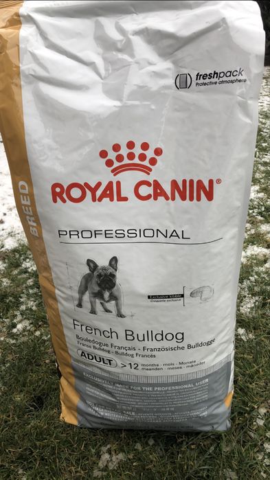 Karma royalcanin buldog francuski adult
