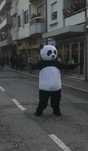 Panda e Mickey - Mascote do Panda e do mickey - ALUGO