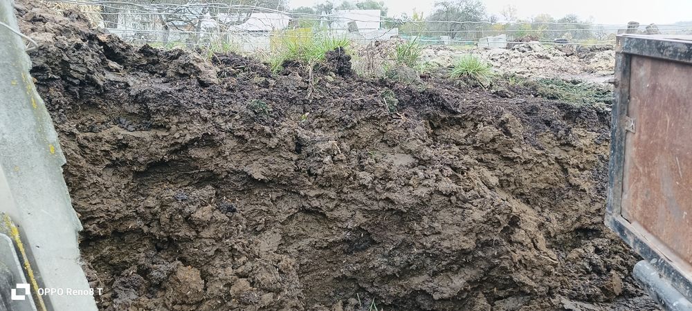 Віддам безкоштовно гній чистий без сіна приїжджайте забирайте