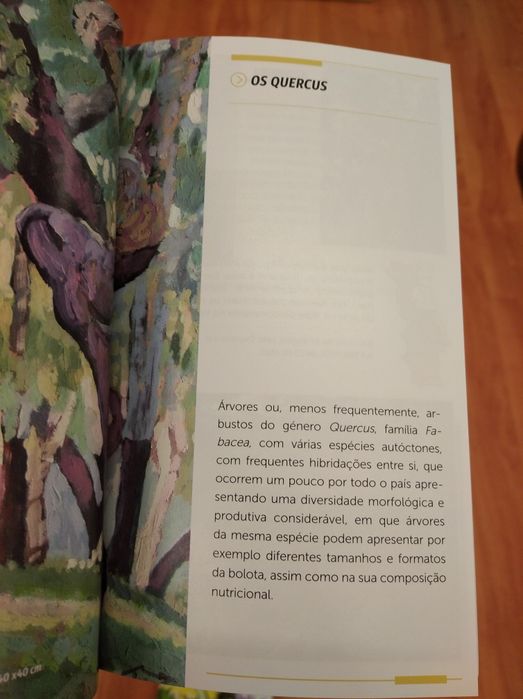 2 Guias práticos "Ervas silvestres" e "Frutos silvestres comestíveis "