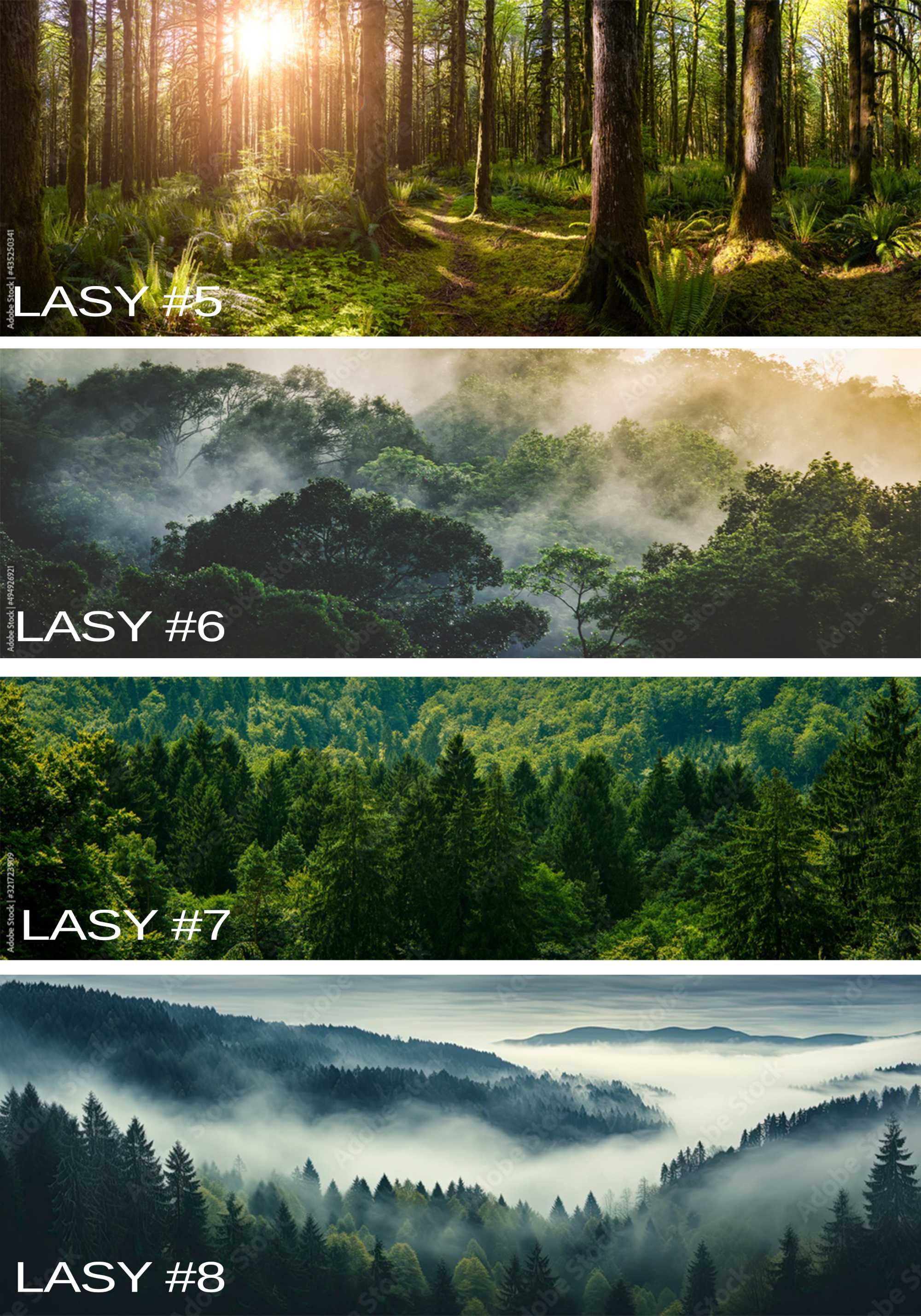 PIĘKNE Panele Szkło hartowane UV Panorama Las Góry Tatry MONTAŻ GRATIS