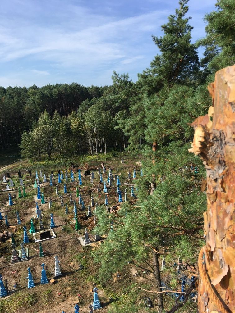 Арборист Спил Зрізання Видалення аварійних дерев