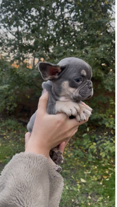 Голубий малюсінький хлопчик