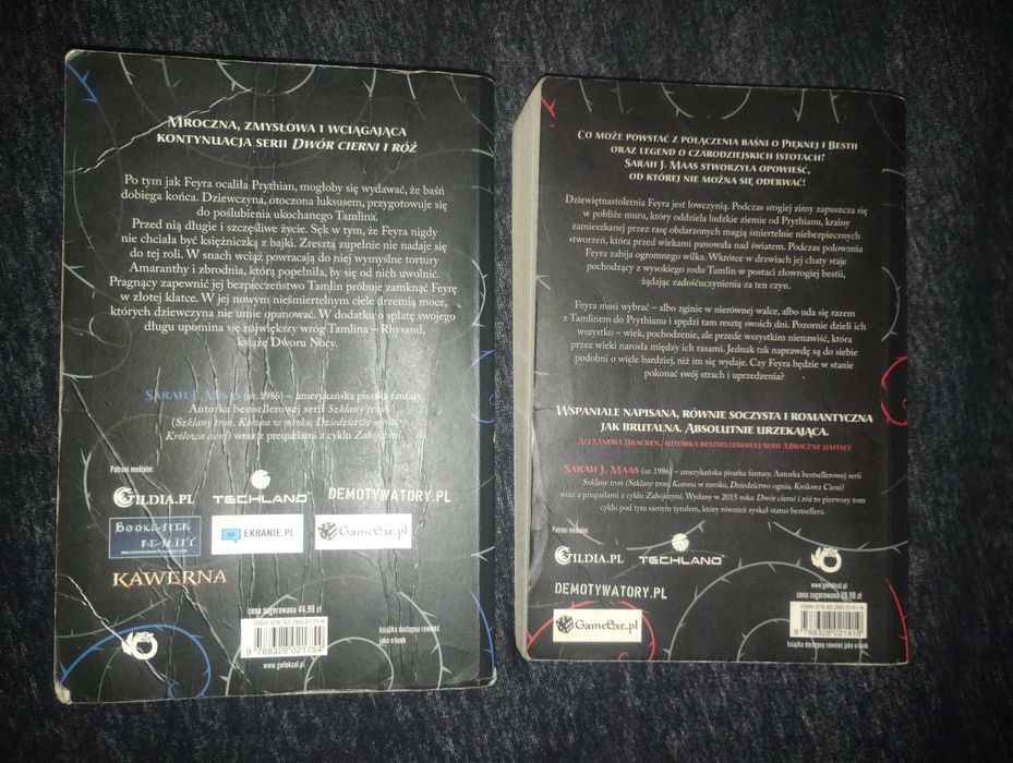 Dwór Cierni i Róż Mgieł i Furii Sarah J. Mass