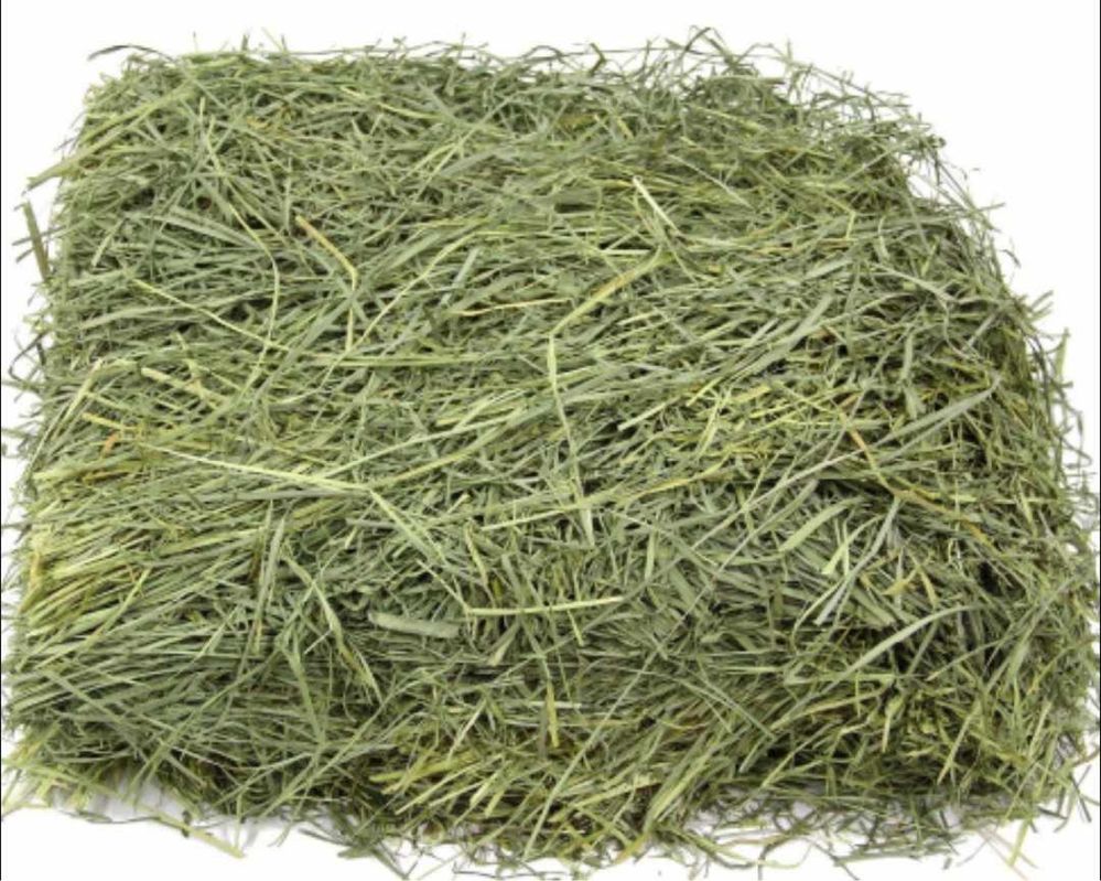 5kg/…Sianko dla królików i grygzoni