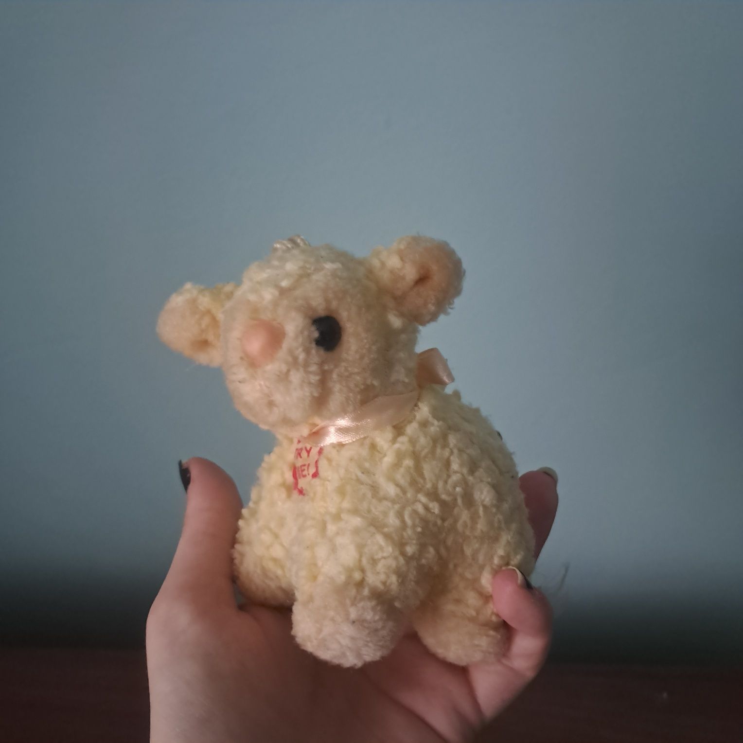 Mały pluszak owieczka