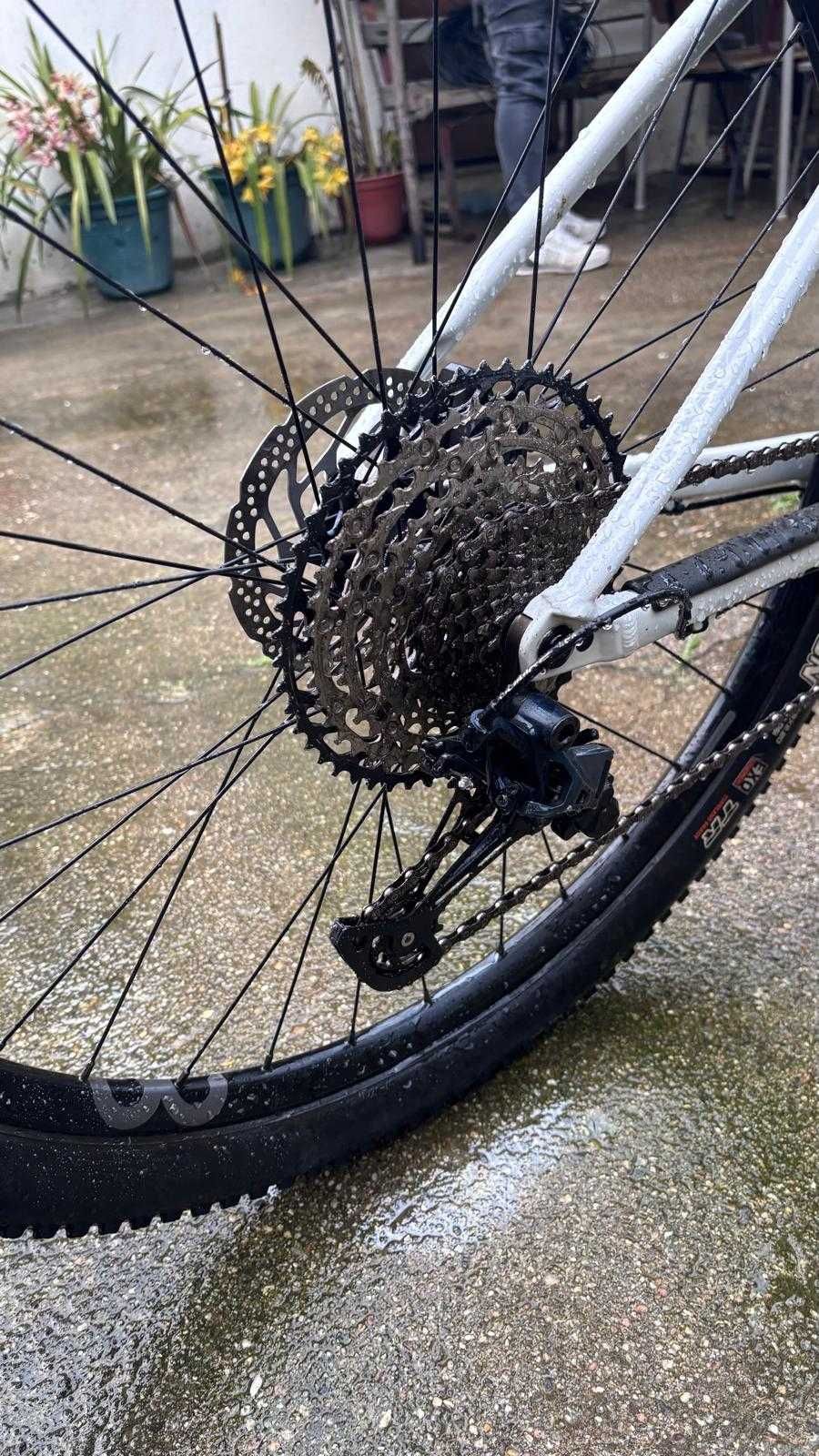 Orbea alma nueva