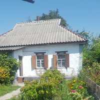 Продам будинок у с.Пришиб Полтавської області