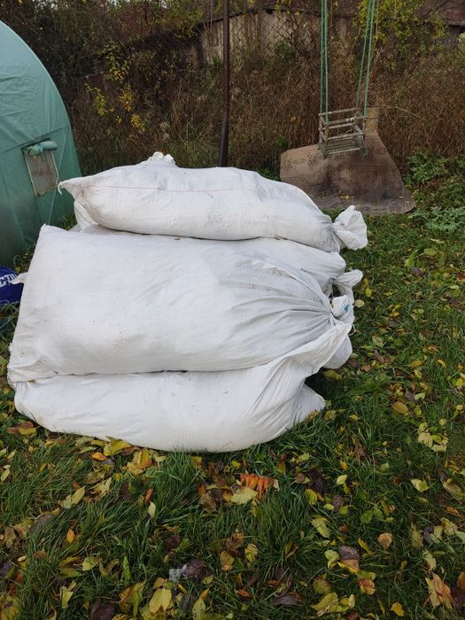 Oddam za darmo trociny!!!