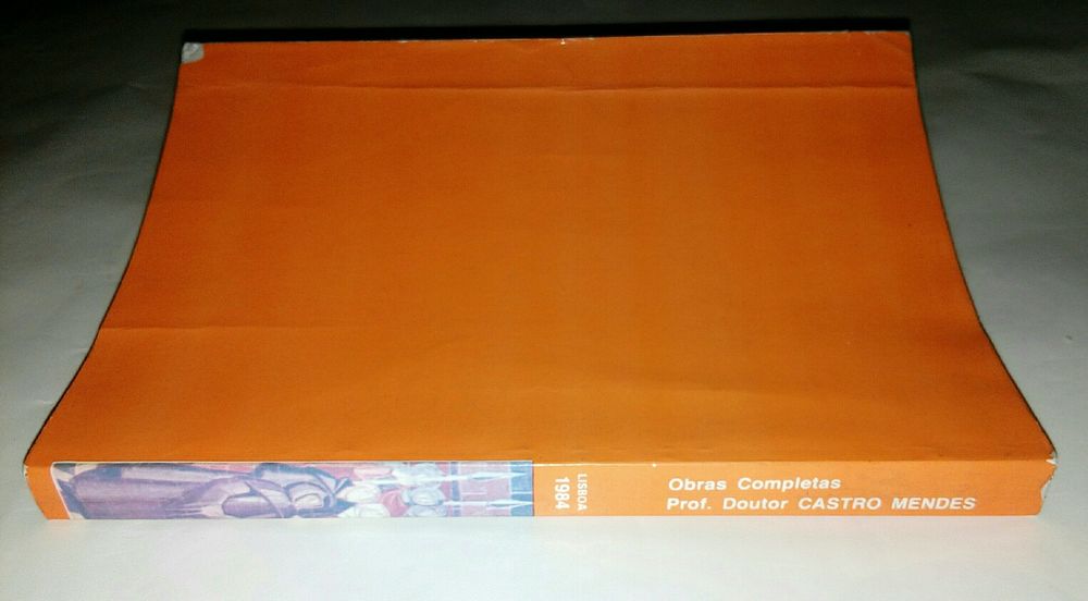 Lote de livros técnicos da área de Direito