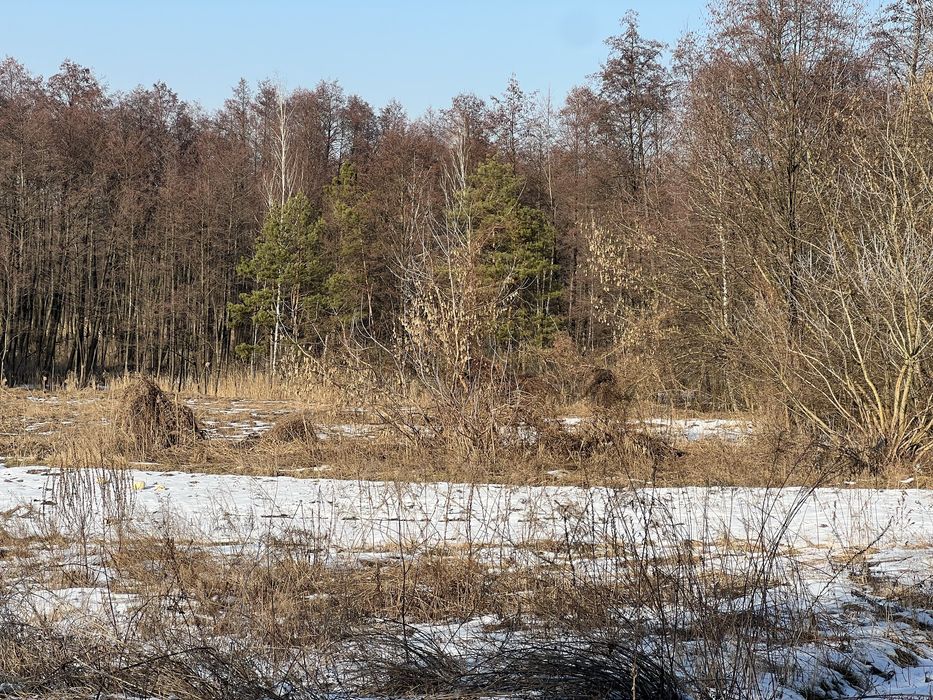 Земля 6гек Пуховка начало Лес свет газ асфальт интернет