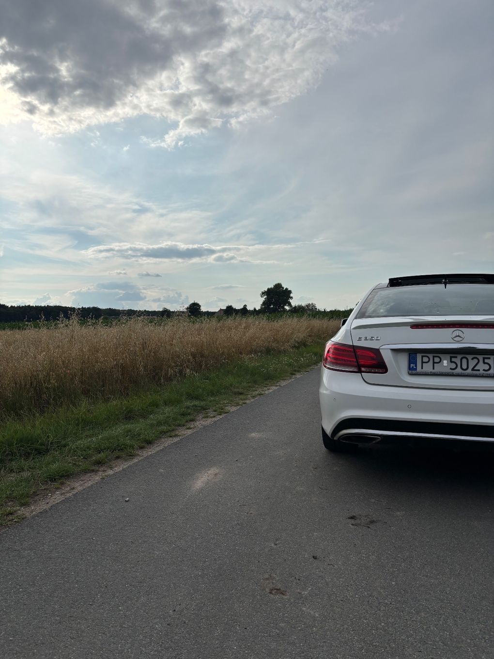 Mercedes-Benz Klasa E Mercedes e350 4matic w212/207