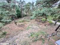 Działka leśno-budowlana, starodrzew, Otwock