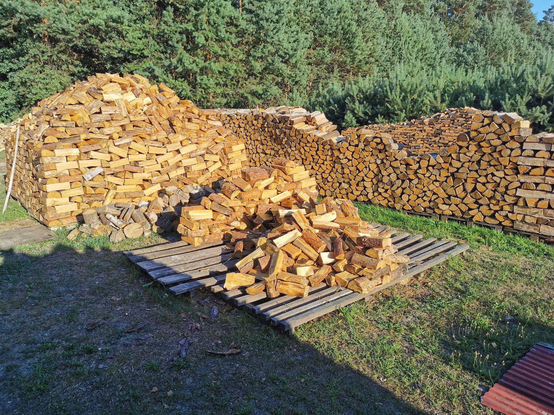 Drzewo kominkowe, opałowe