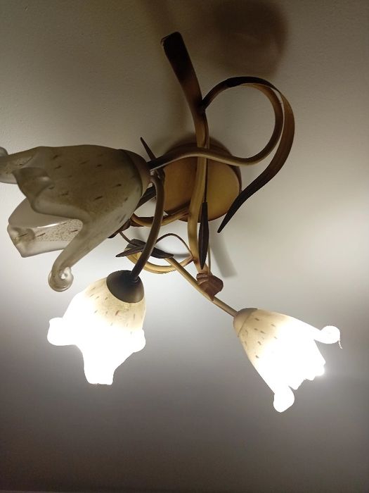 ŻYLANOR  z trzema kloszami