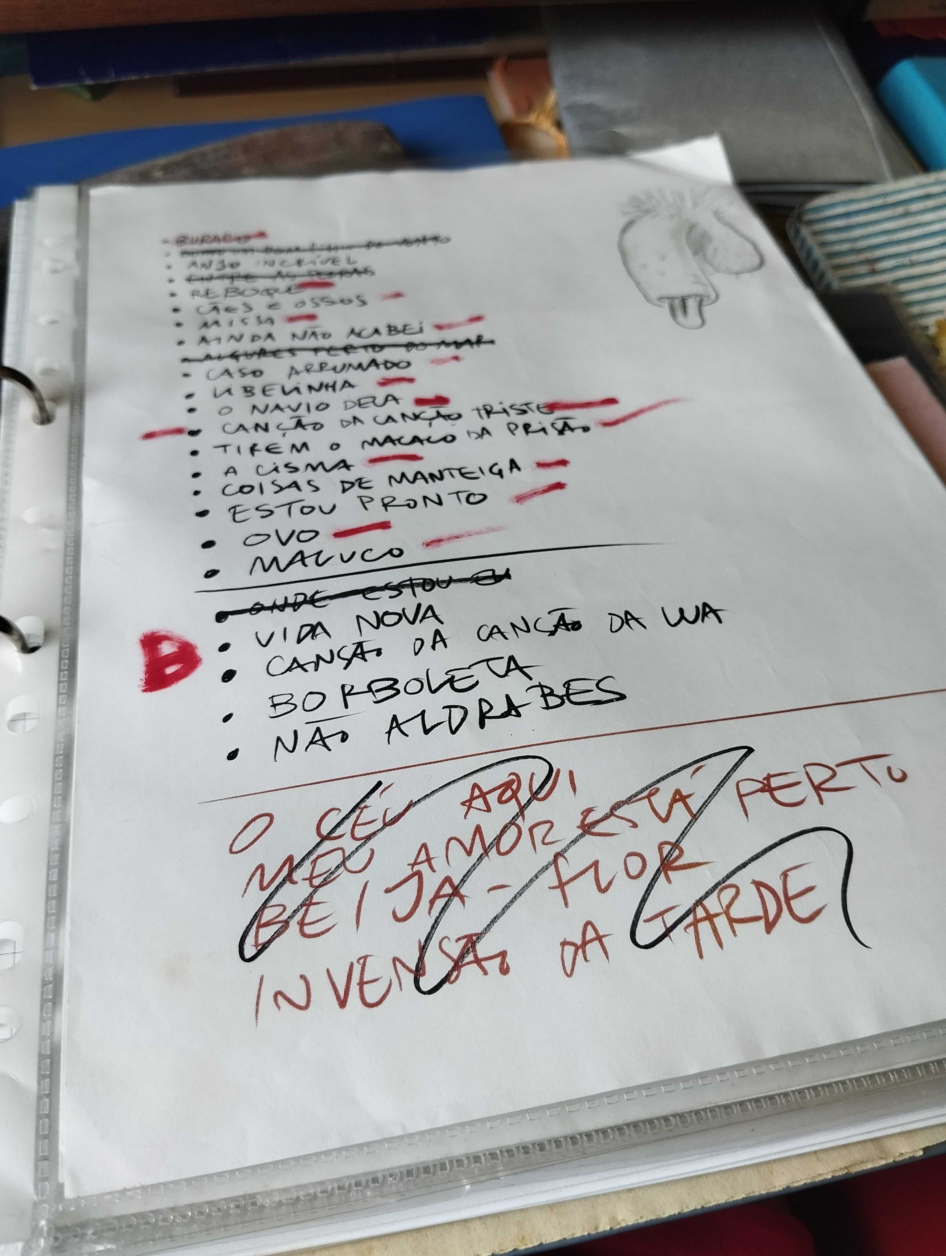 Setlist com ilustração Manuel Cruz - Ornatos Violeta