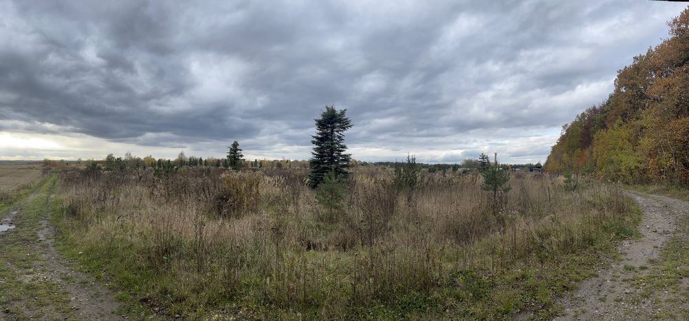 Продаж ділянки 43,5 сотки,Кротошин, Львів